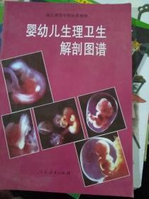 婴幼儿生理卫生解剖图谱