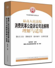 最高人民法院消费民事公益诉讼司法解释理解与适用 人民法院出版社