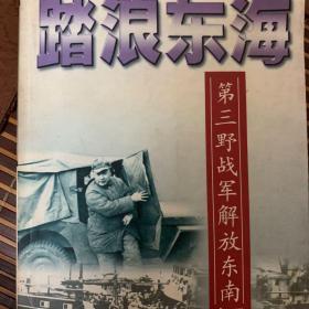 踏浪东海:第三野战军解放东南纪实