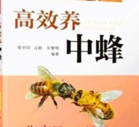 中蜂养殖技术视频教程 中蜂育种养王 中蜂病虫害防治 5光盘3书籍