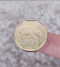 2018年秘鲁1索尔山貘纪念币 硬币 直径约25mm美洲钱币
