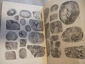 东北地区古生物图册（一） （签赠本） 实物拍照   请看图