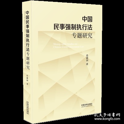 中国民事强制执行法专题研究