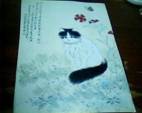 杂志美术画页 正面   猫