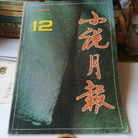 小说月报1995——12