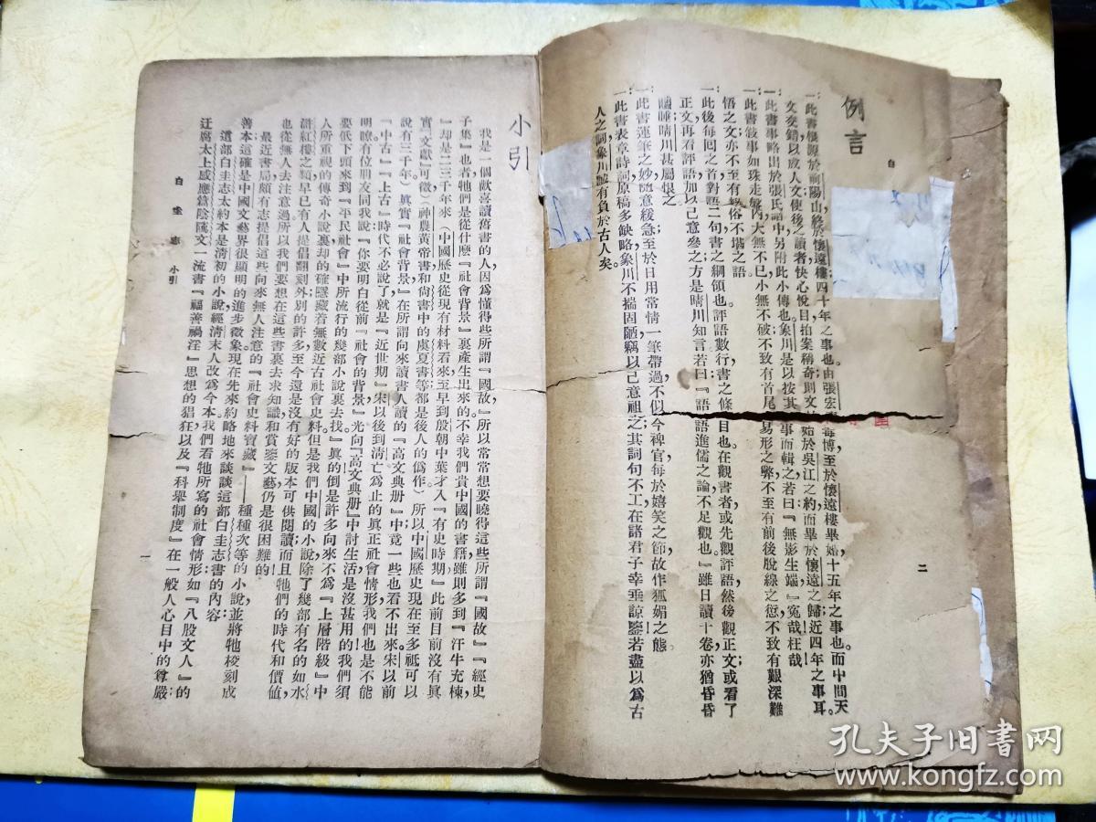 白圭志