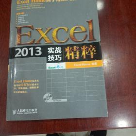 Excel 2013实战技巧精粹