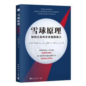 雪球原理:如何让你的企业越做越大:most companies stop growing-yours doesn't have to