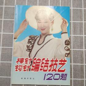 棒针钩针编结技艺120题
