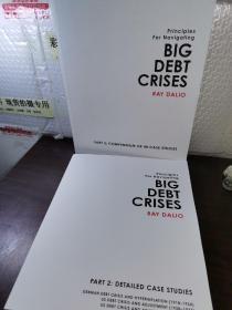 大债务危机（华尔街对冲基金桥水创始人Ray Dalio 新书）英文原版 Big Debt Crises 经济金融 投资