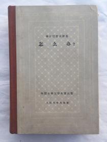 怎么办？车尔尼雪夫斯基，外国古典文学名著丛书，人民文学出版社【精装网格本1959一版一印】