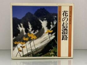 花の信濃路  ふるさと歲時記  カラー版自然の詩（日本古典文学）日文原版书