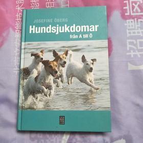 Hundsjukdomar