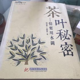 茶叶秘密：情要用水调