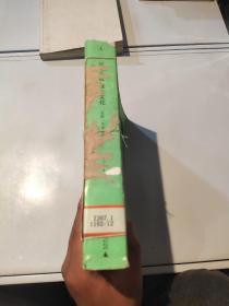 只有大众没有文化反抗一个平庸时代