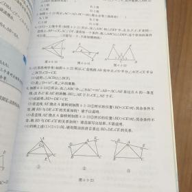 金星教育系列丛书·中学教材全解：7年级数学（下）（北师大版）（工具版）