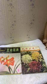 大众花卉1986年2，1982年10 两册合售