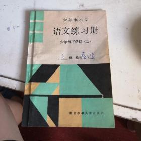 六年制小学 语文练习册 六年级下学期（乙）