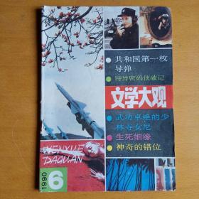 文学大观1990年第6期(总第66期)