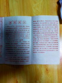 霓虹灯下的哨兵