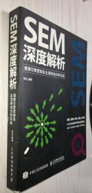 SEM深度解析 搜索引擎营销及主流网站分析实战 正版新书