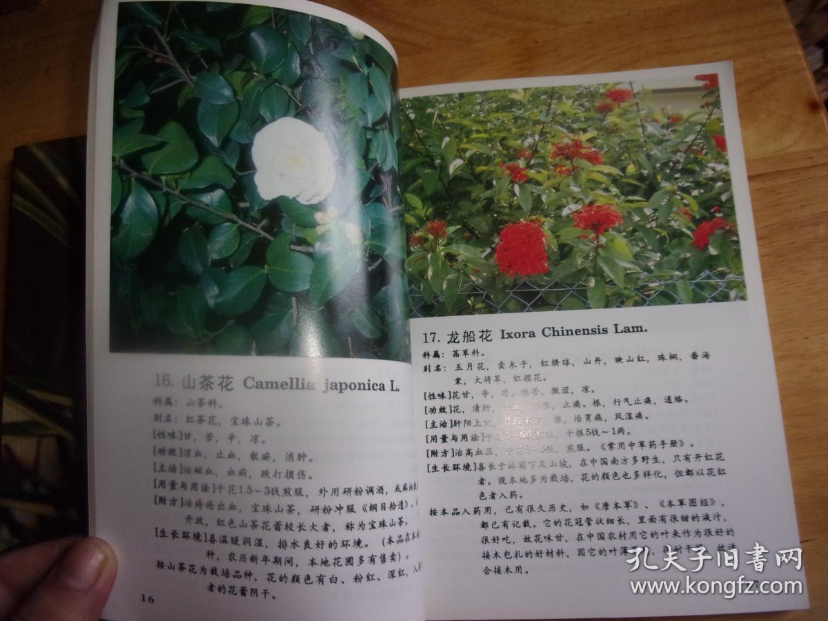 点击查看原图 生草药认识 上册+生草药认识续篇--2本均是老中医黄怀得签赠本