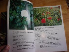 生草药认识 上册+生草药认识续篇--2本均是老中医黄怀得签赠本