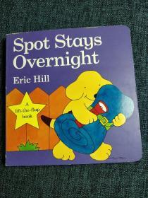 spot stays overnight      [Board book]