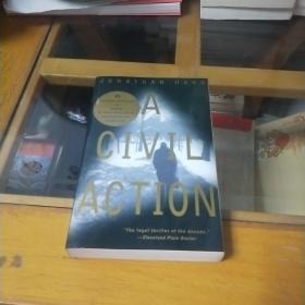 A Civil Action