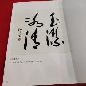 陈瑞金书法暨刻字选集。