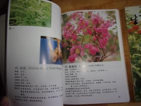 生草药认识 上册+生草药认识续篇--2本均是老中医黄怀得签赠本