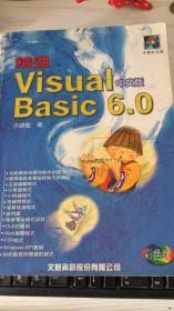精通 Visual Basic 6.0 中文版 彩色版
