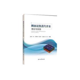 稠油过热蒸汽开采理论与实践9787518337194化学工业