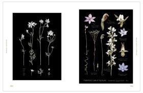 Botanical Inspiration 灵感:自然艺术插画 英文原版绘画插画