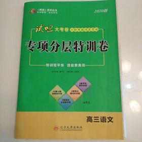 2020版试吧大考卷二轮专题闯关导练专项分层特训卷高三语文