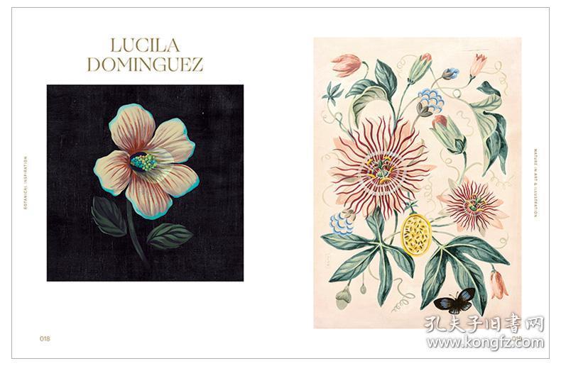 点击查看原图 Botanical Inspiration 灵感:自然艺术插画 英文原版绘画插画