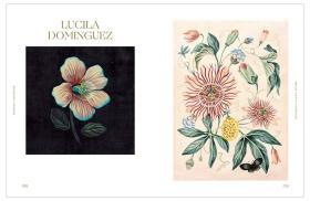 Botanical Inspiration 灵感:自然艺术插画 英文原版绘画插画