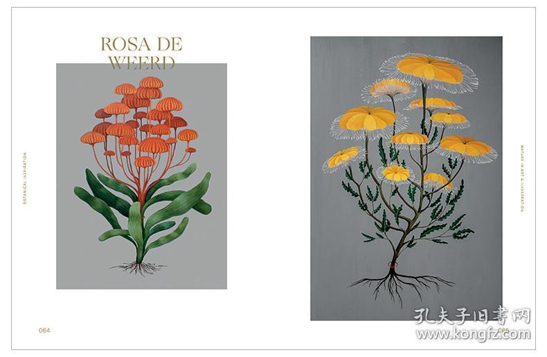 点击查看原图 Botanical Inspiration 灵感:自然艺术插画 英文原版绘画插画