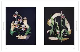 Botanical Inspiration 灵感:自然艺术插画 英文原版绘画插画