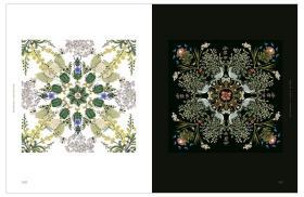 Botanical Inspiration 灵感:自然艺术插画 英文原版绘画插画