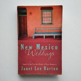 少见《new mexico weddings》