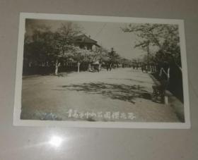 青岛市中山公园樱花路老照片（8*5.5CM）