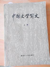 厚册 《中国文学简史》上册  见图