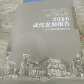 2016武汉发展报告