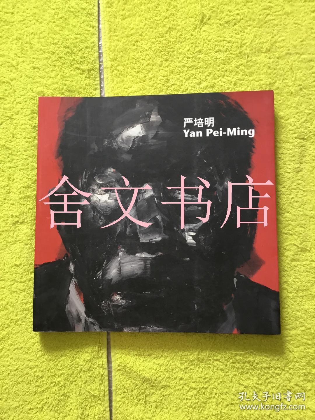 严培明画集 Yan Pei-Ming