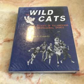 The Wildcats: A History of Villanovans in Professional Sports（英文 原版）
