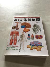 3D人体解剖图