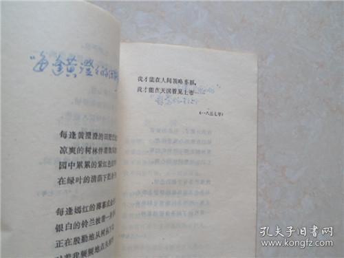 莱蒙托夫抒情诗选