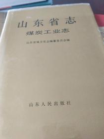 山东省志.38.煤炭工业志