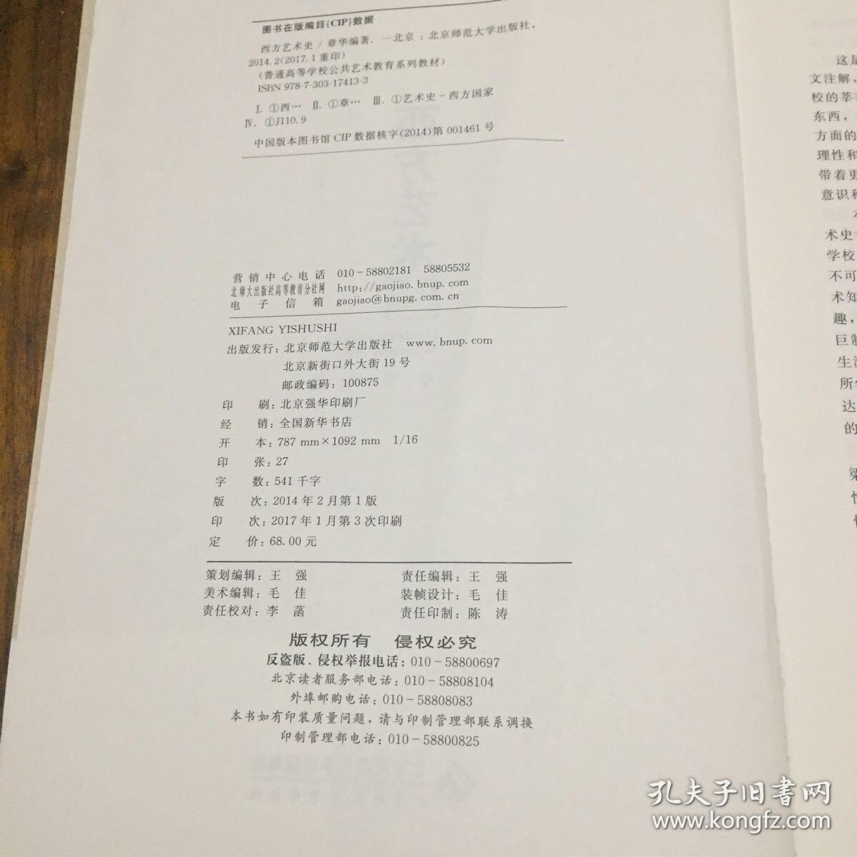 普通高等学校公共艺术教育系列教材:西方艺术史